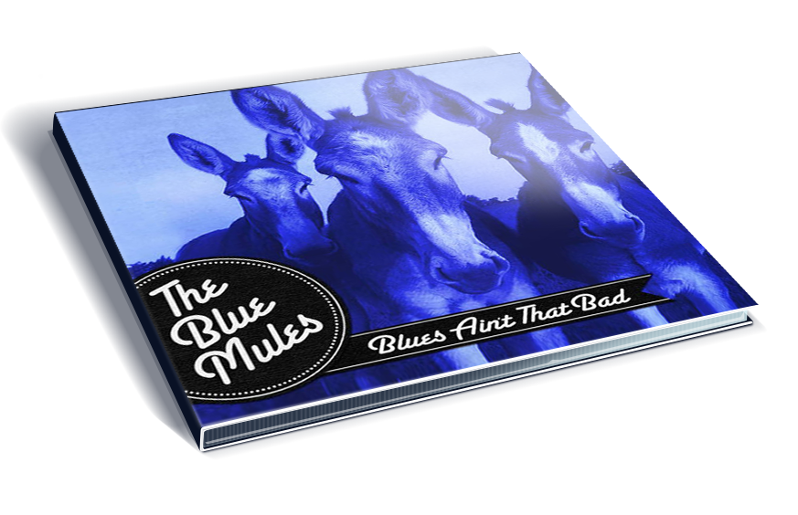 Blues Ain't That Bad by The Blue Mules